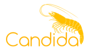 Candida bio science pvt Ltd