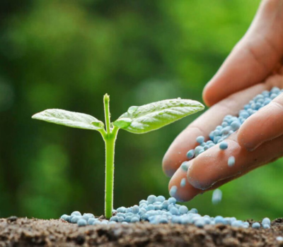 Agriculture & Fertilizer